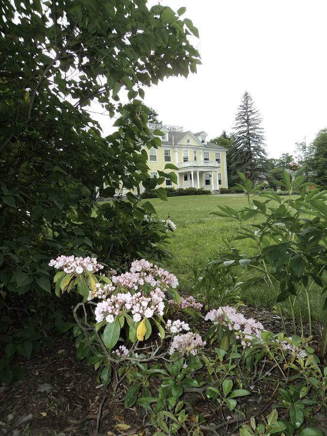 Bed and breakfast Governor'S House In Hyde Park Extérieur photo